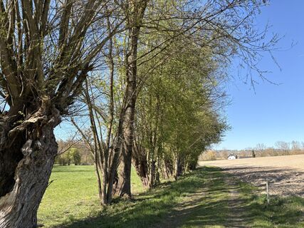 Fotografie z Nina Astleitner na trase