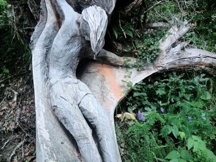 Fotografija s spletne strani simone ravasi na poti