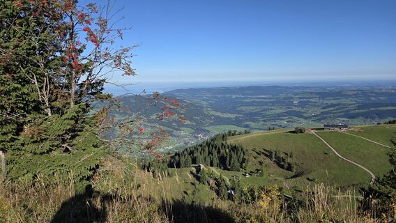 Fotografia z V Feurstein na trase