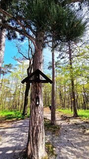 Foto de Elisabeth Rossa a lo largo del recorrido