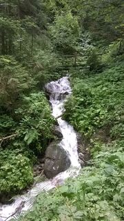 Wildbach