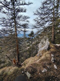Fotografija s spletne strani Aldin Burnic na poti