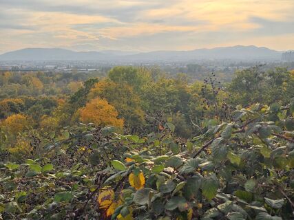 Фото с сайта enipeus 65 во время экскурсии