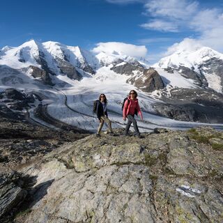 Glacier Experience Trail