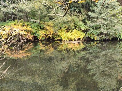 Photo de Rossel Reinhardt1 le long du parcours