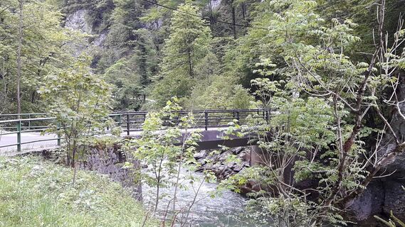 Startbrücke über Erlauf