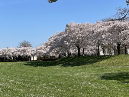 Foto van Albert Klapperich langs de tour