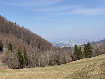 Photo de Moonytiger le long du parcours