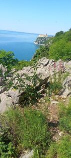 Foto von H h entlang der Tour