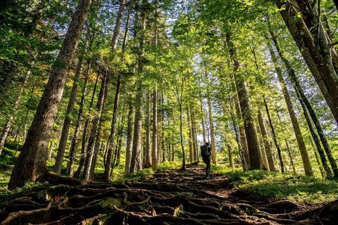 Wilder_Kaiser_wandern_3-Tage_Hüttenwanderung_Sommer2021_ThomasHennerbichler (16)_1920px.jpg