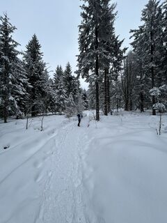 Photo from Christian Bozsoki along the tour