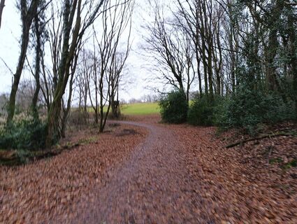 Foto von Dario Mansi entlang der Tour