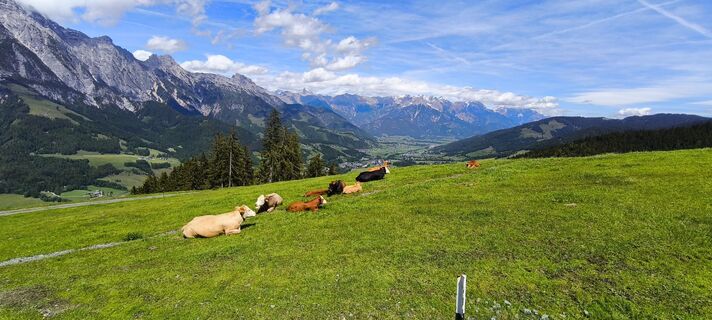 Foto fra Markus Fischer undervejs på turen