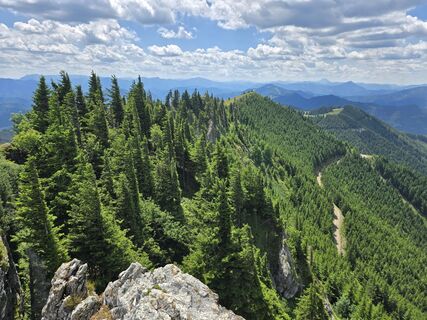 Fotó a TwilightTea honlapról a túra során