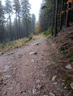 Foto von Tomasz Jakimiuk entlang der Tour