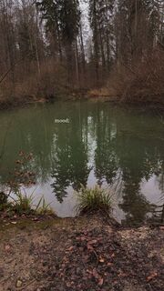 Foto de robin Zuhn a lo largo del recorrido