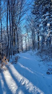 Fotografie z dsundt na trase
