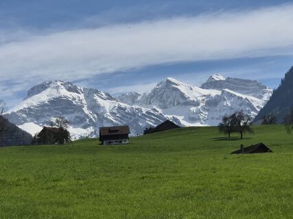 Foto von Thomi W entlang der Tour