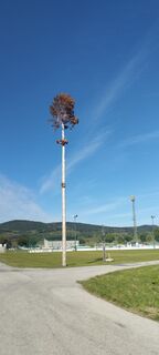 Fotografija s spletne strani Christine Fischer na poti