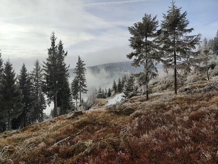 Fotografija s spletne strani Lena Eder na poti
