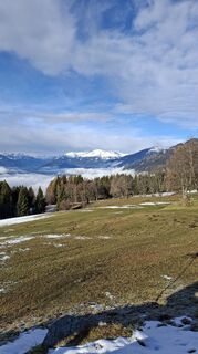 Foto von Mangolein entlang der Tour