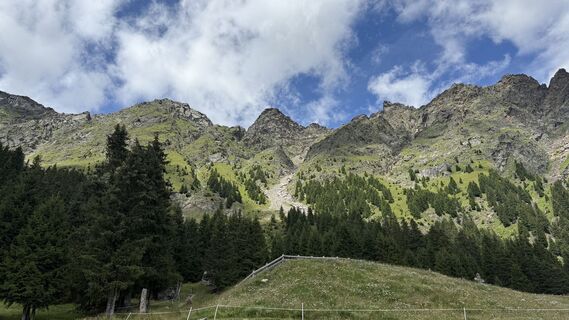 Fotografia z Daniel Härtel na trase