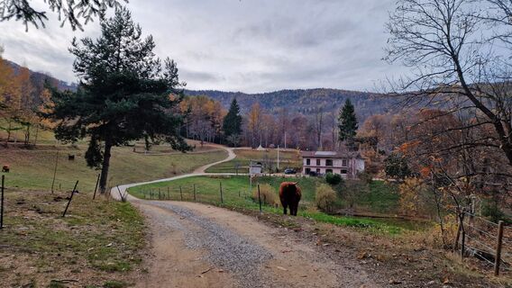 Fotografie z Fabrizi Mellano na trase