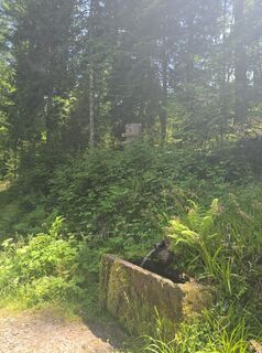 Foto von Michel Kennel entlang der Tour