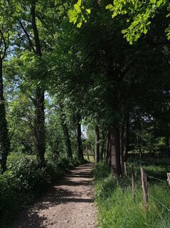 Foto von Aner entlang der Tour