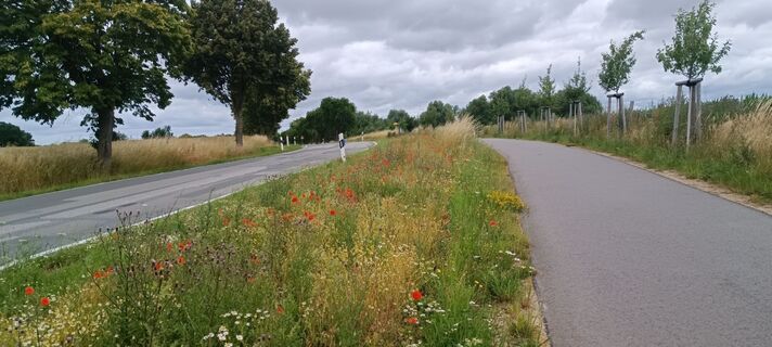 Foto von Przemek Sobek entlang der Tour