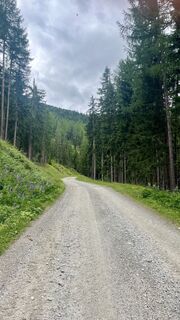 Foto von Katja Hechler entlang der Tour