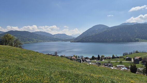 Foto von Thomi W entlang der Tour