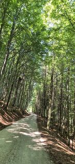 Foto de Hari Schrittwieser a lo largo del recorrido