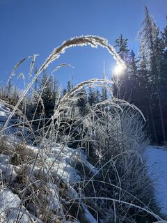Foto von Gerhard Lilek entlang der Tour