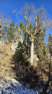 Photo de se_muck le long du parcours