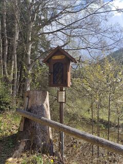 Foto von Barbara Galle entlang der Tour