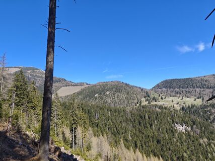 Foto von Bergpirat entlang der Tour
