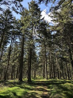 Foto von Jana Rudloff entlang der Tour