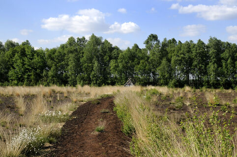 Lehrpfad ‘‘moor land schaffen"