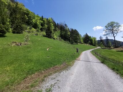 Fotografija s spletne strani Waldläufer na poti