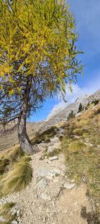 Foto de Martina Oitzinger a lo largo del recorrido