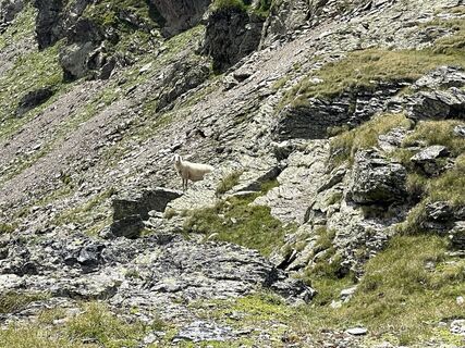 Fotografija s spletne strani David na poti