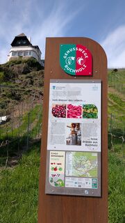 PXL_20260411_123927113