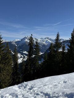 Fotografija s spletne strani Niklas We 1 na poti