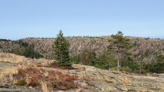 Foto von edefreak entlang der Tour