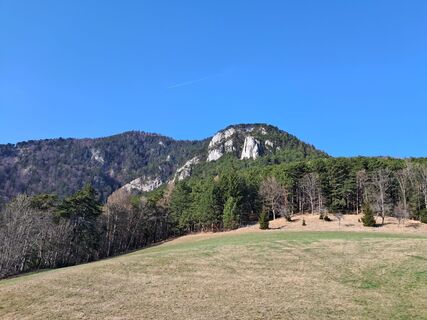 Фото с сайта lamowe во время экскурсии