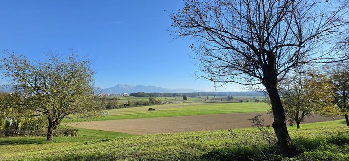 Foto von Srečko Lašič entlang der Tour