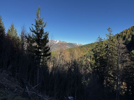 Foto von Gerry Grimmer 1 entlang der Tour