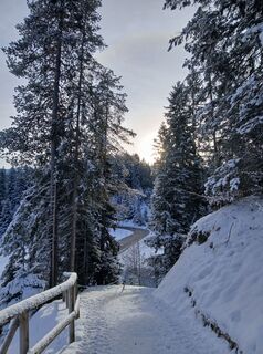 Fotografija s spletne strani Gerald S. Widmann na poti