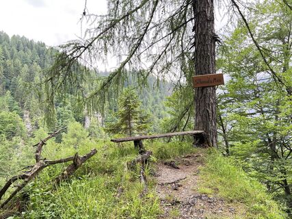 Fotografija s spletne strani DerDominik na poti